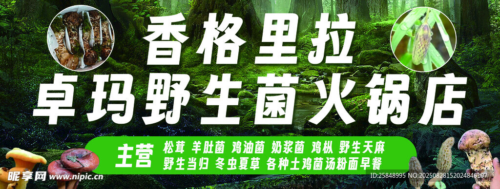 野生菌餐饮店