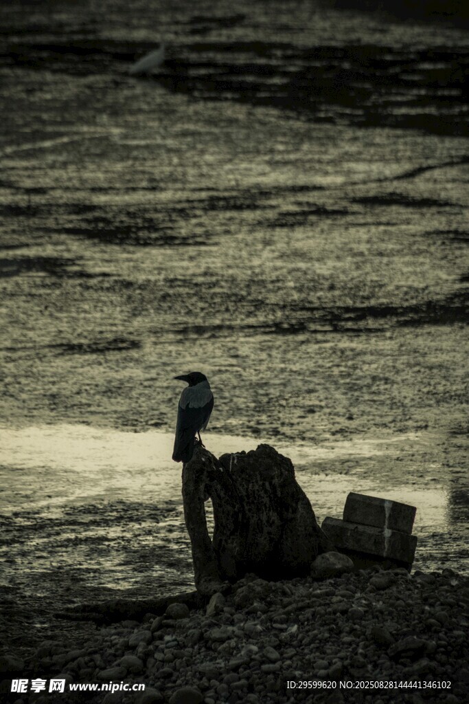 孤独旅人于旷野的沉思