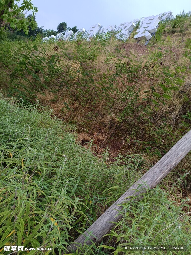 野外杂草中的灰色管道