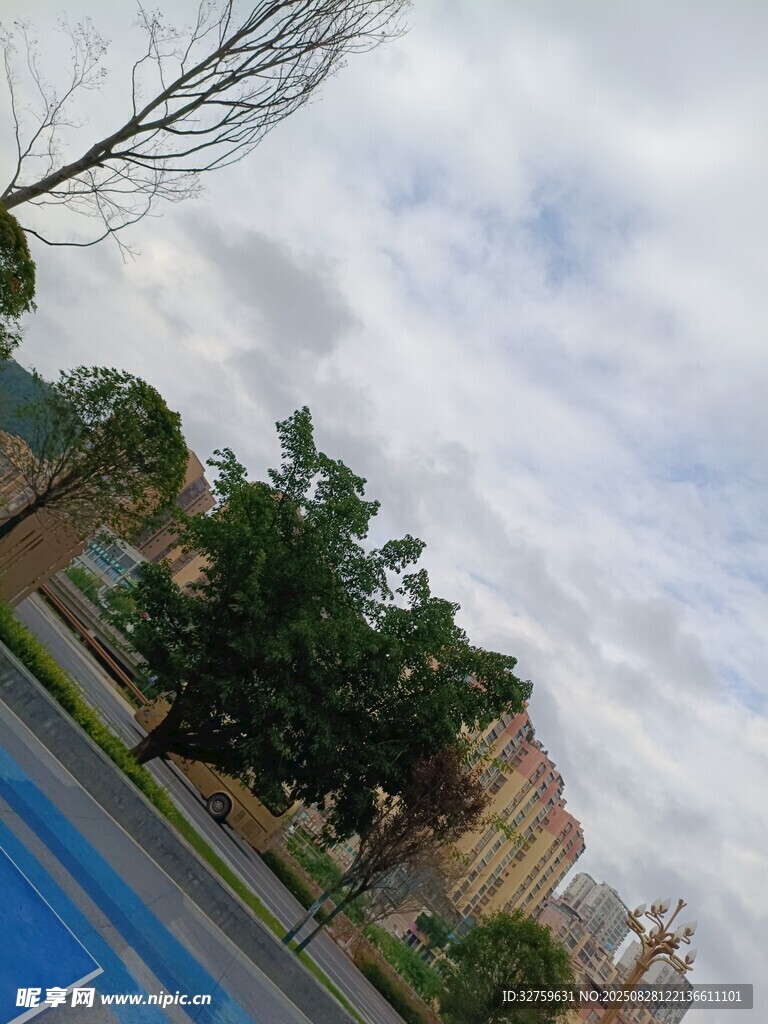 城市街道旁的绿树与建筑