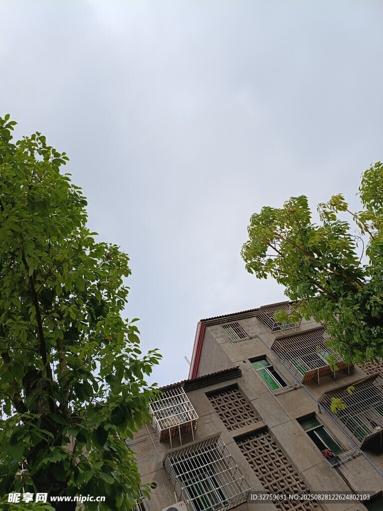 绿树环绕的老旧居民楼