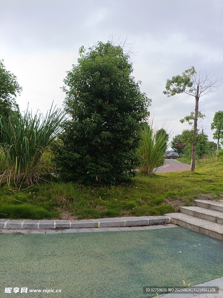 户外静谧水池与绿植景观