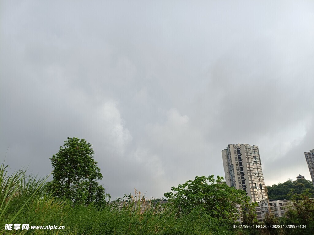 阴天草地旁的建筑景观