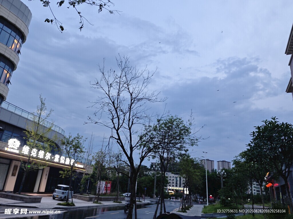 城市街道旁的树木与建筑