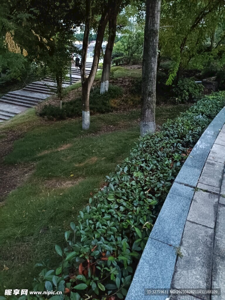 园林小径绿植景观