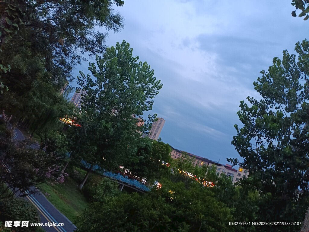 黄昏下的树林与开阔景致