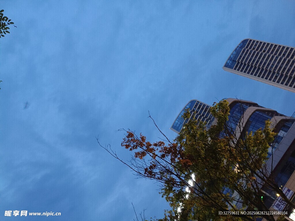 蓝天楼宇间的绿植景致