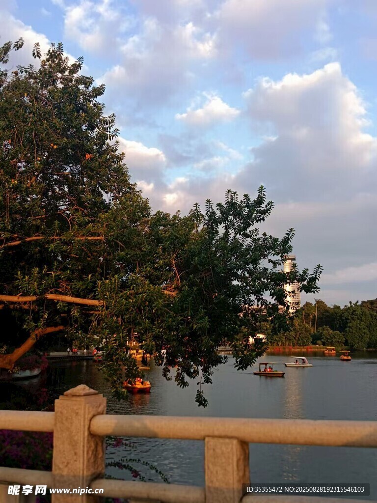 湖畔树影宁静美好时光