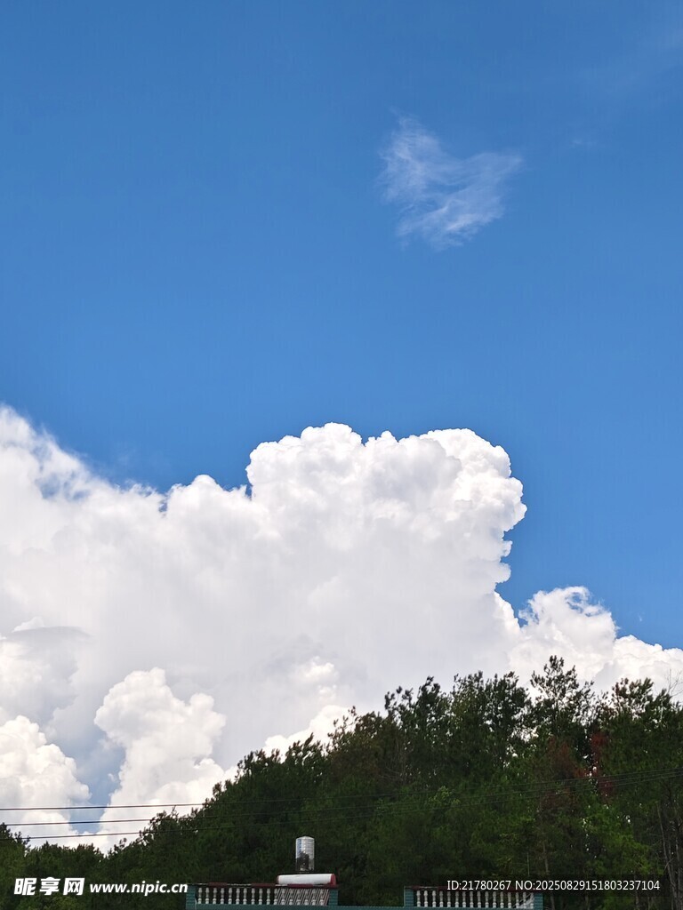 蓝天白云下的葱郁山林