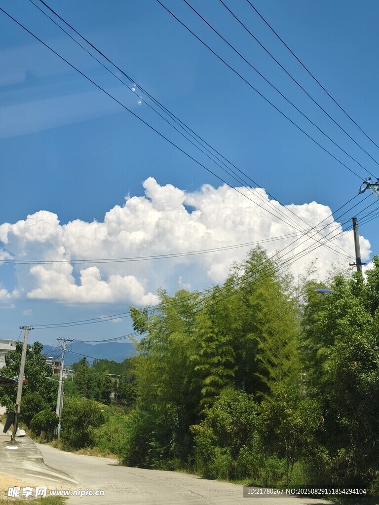 乡村公路边的蓝天白云绿树