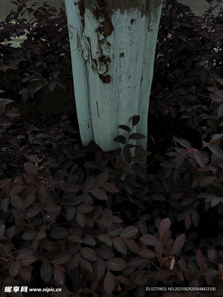 植物根部与金属杆场景