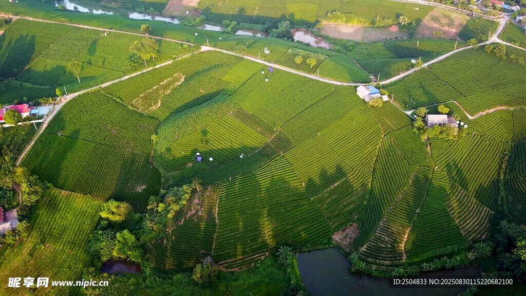 田园风光航拍美景