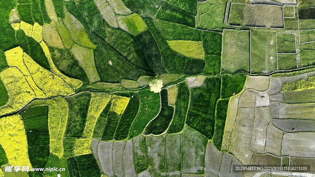 俯瞰多彩农田景观