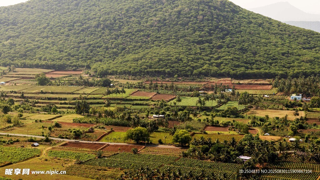 田园风光俯瞰图
