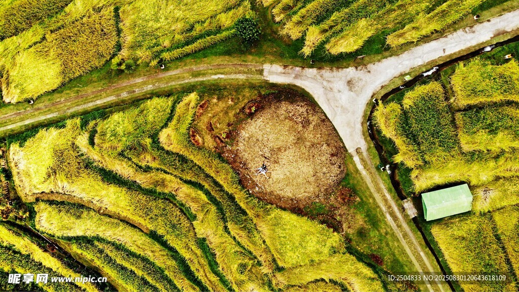 俯瞰田园风光中的交叉道路