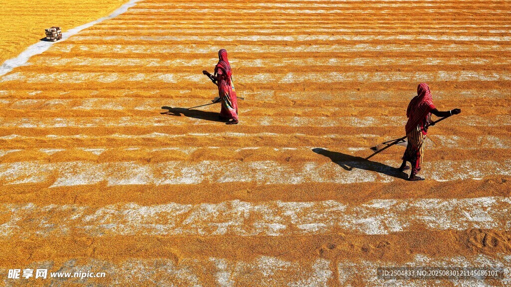农民田间劳作场景