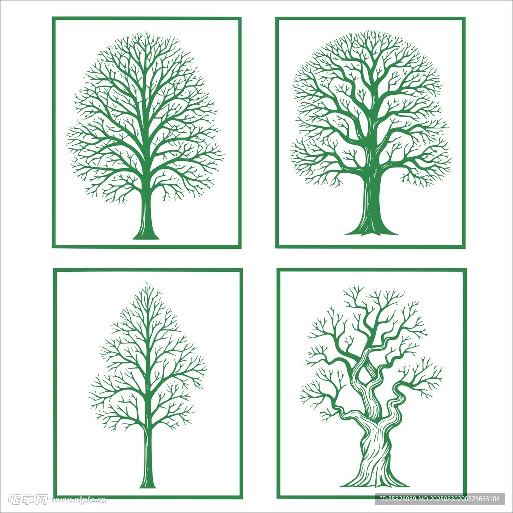 树木插画