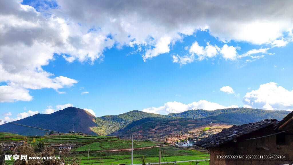 蓝天白云映绿野