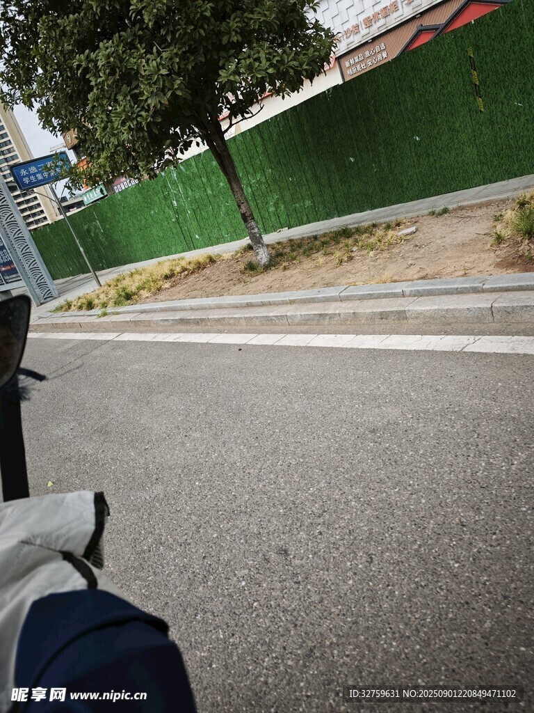 骑行视角下的道路与绿植