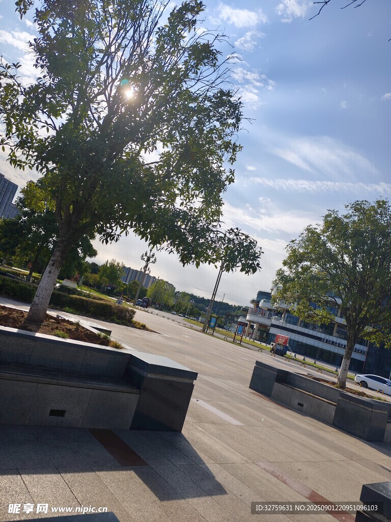 户外停车场旁的绿树景观