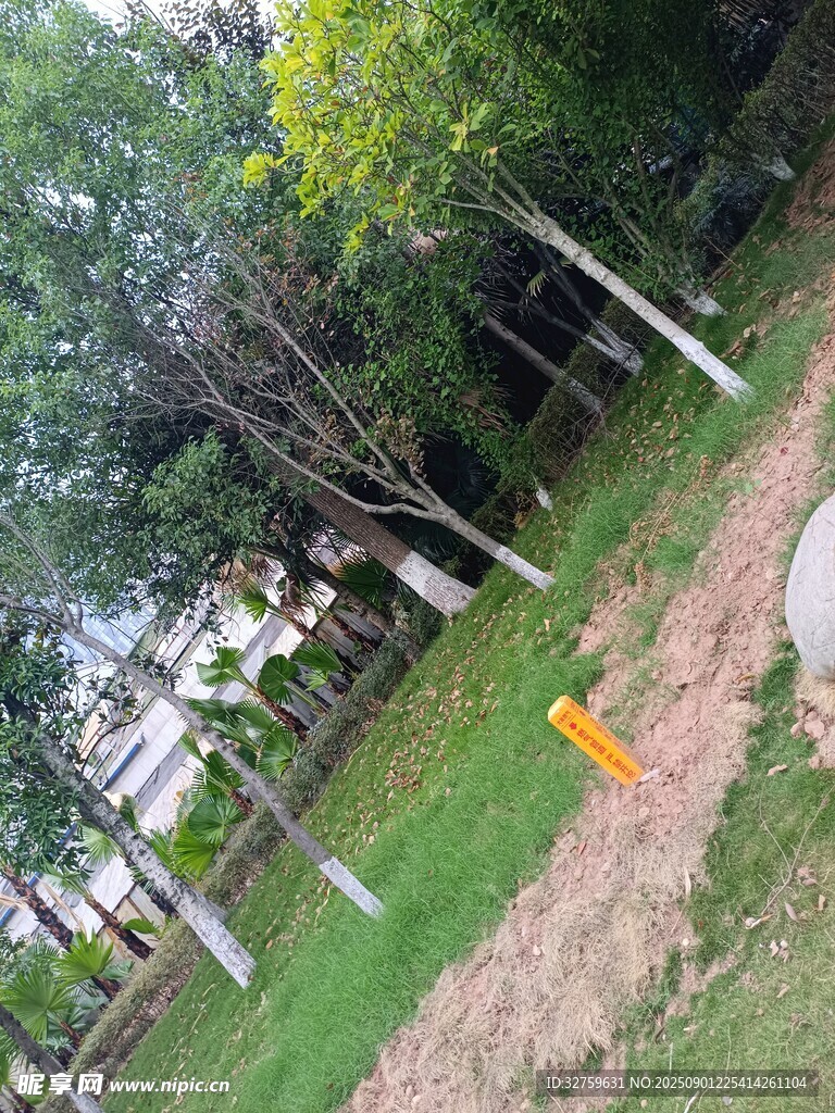 公园绿意盎然的休闲场景