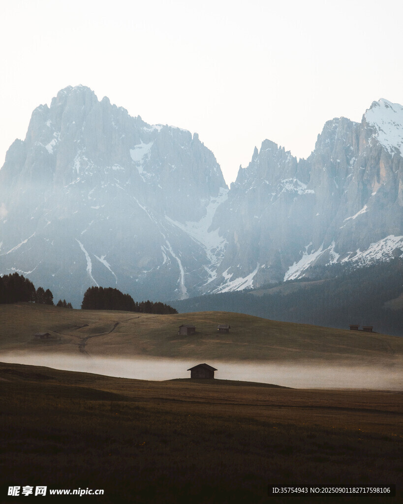 山间晨景孤树静立