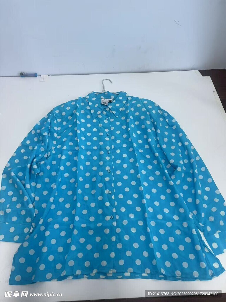 蓝底白点印花上衣展示