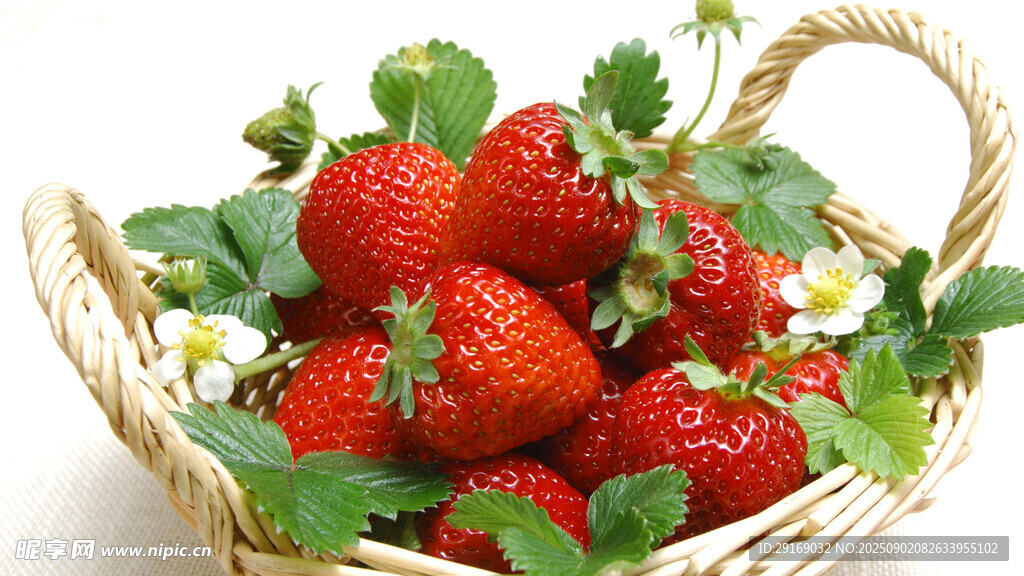 篮子里的新鲜草莓