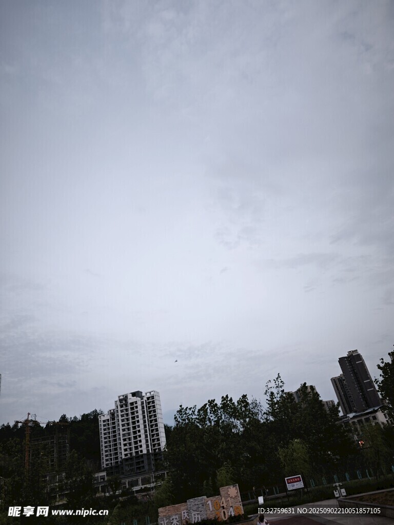 阴天城市与树林景观