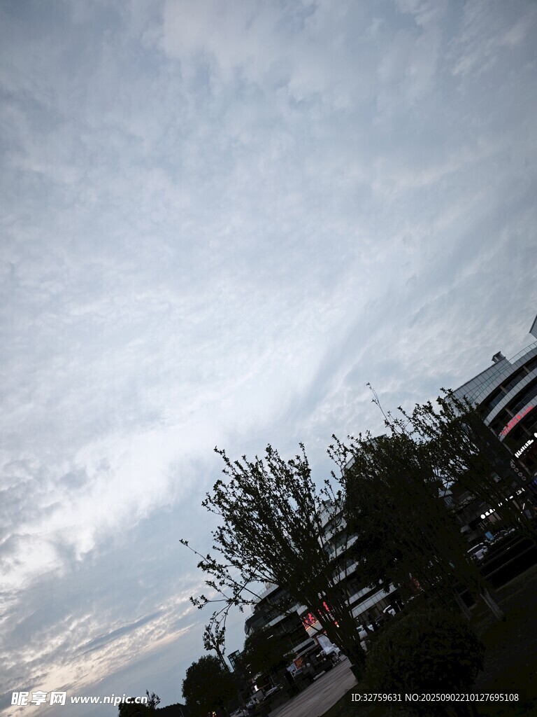 傍晚天空下的树木与建筑