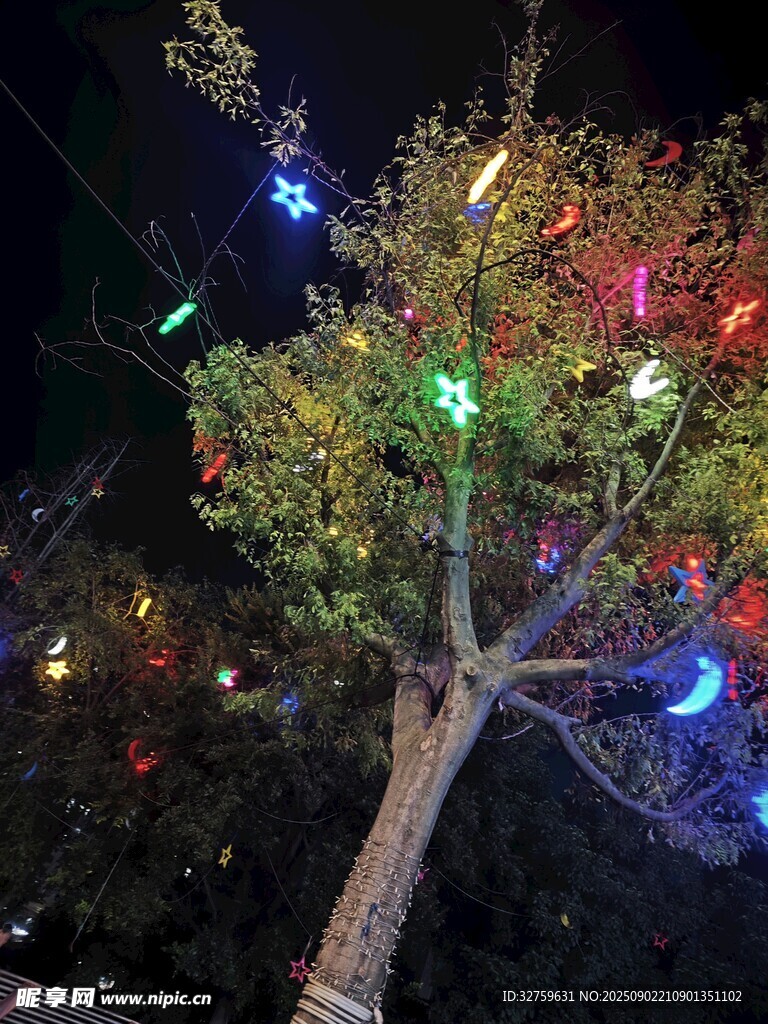 树上彩色灯光装饰夜景