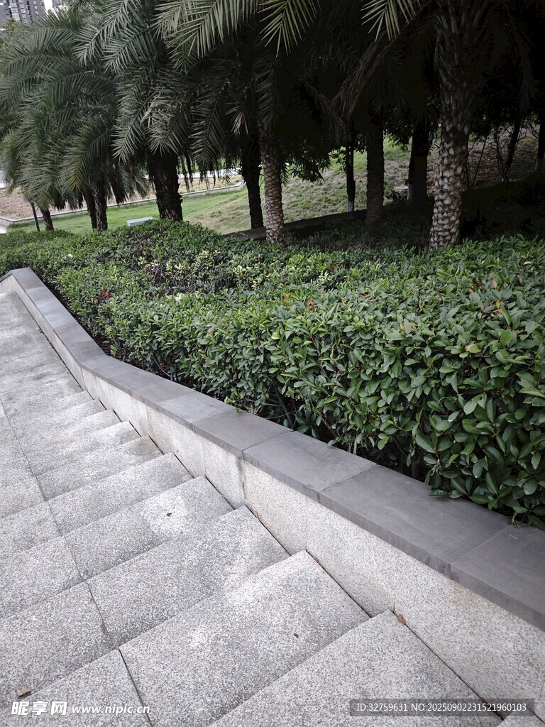 城市林荫步道景观