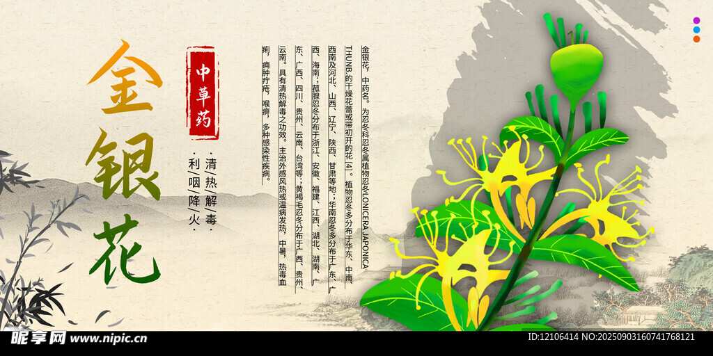 金银花海报