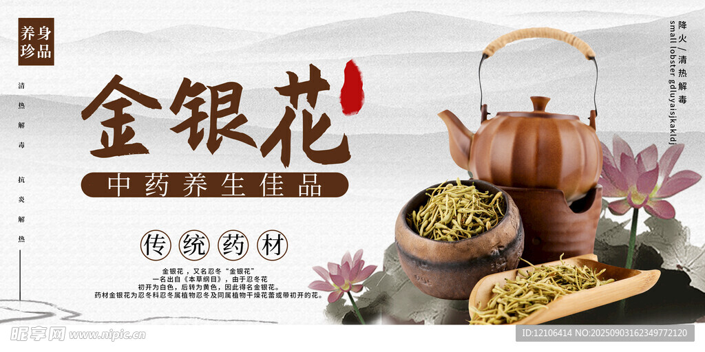 金银花海报
