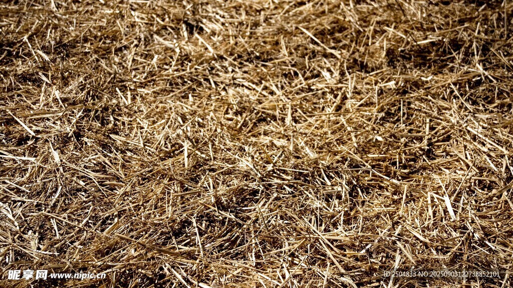 干燥松软的干草堆