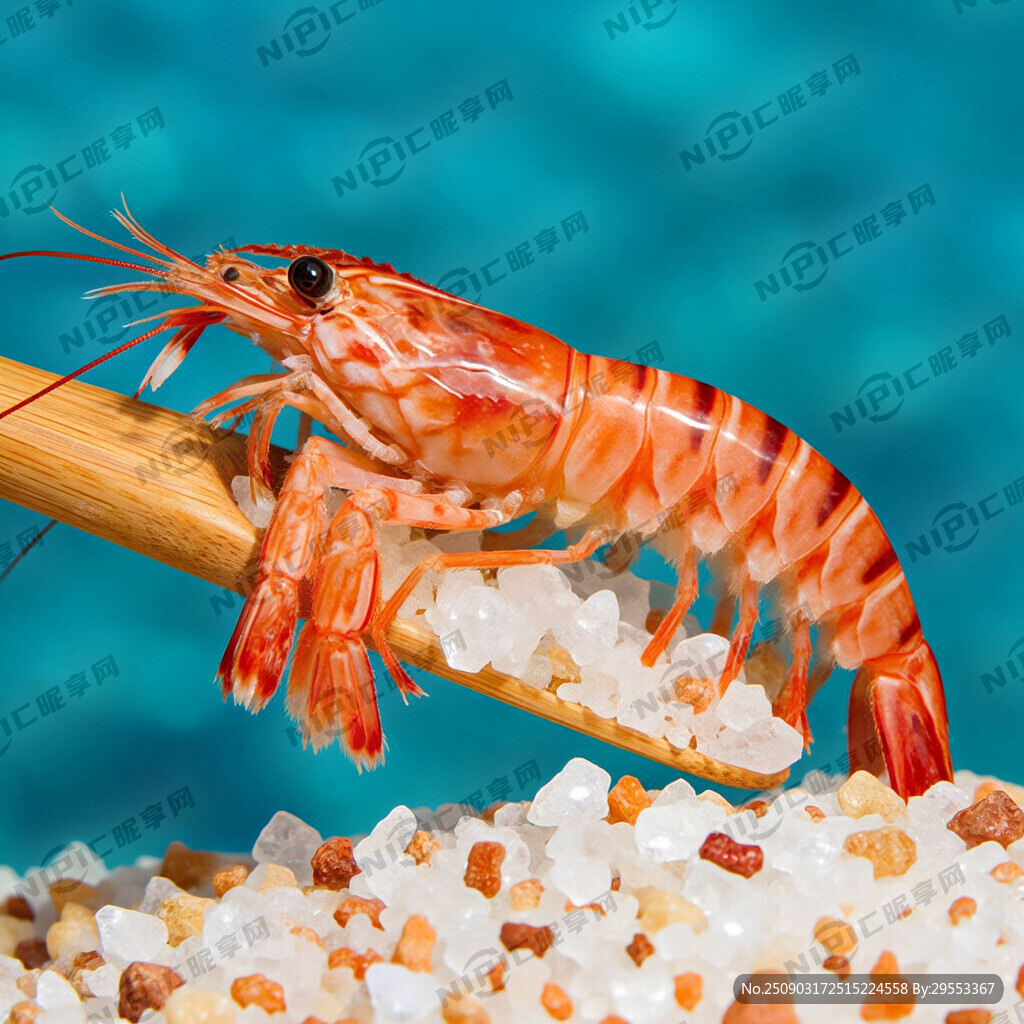 虾宝 钙镁多矿 微量元素