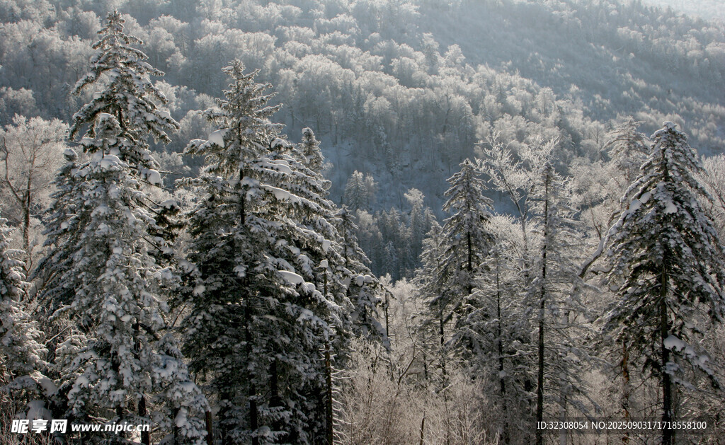 雪覆山林美景