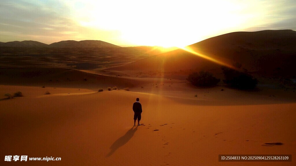  漠夕阳 的 独行者