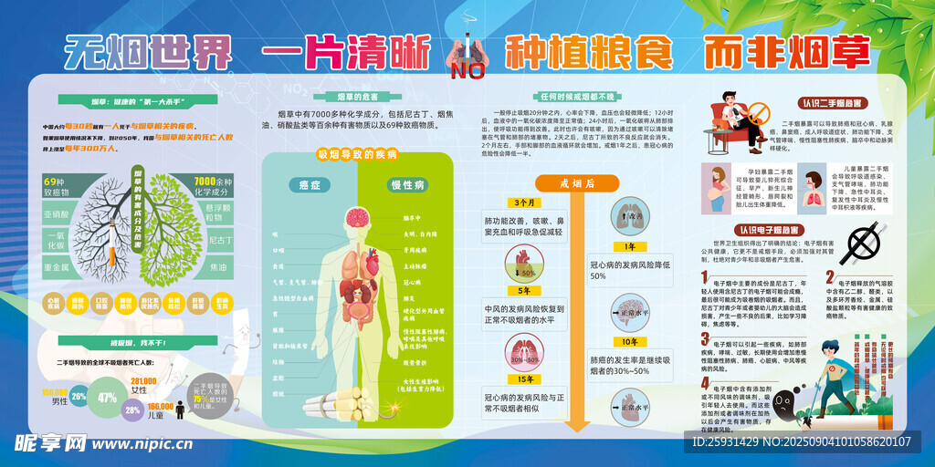 无烟世界 一片清晰 种植粮食