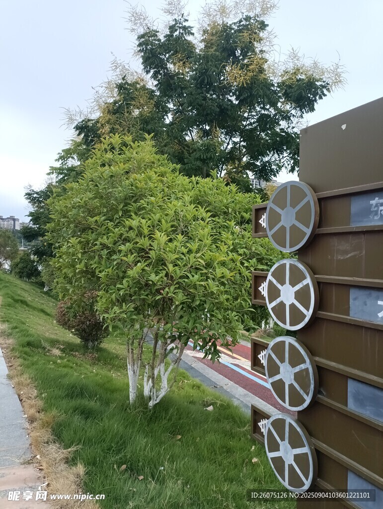 绿树环绕的轮子装饰