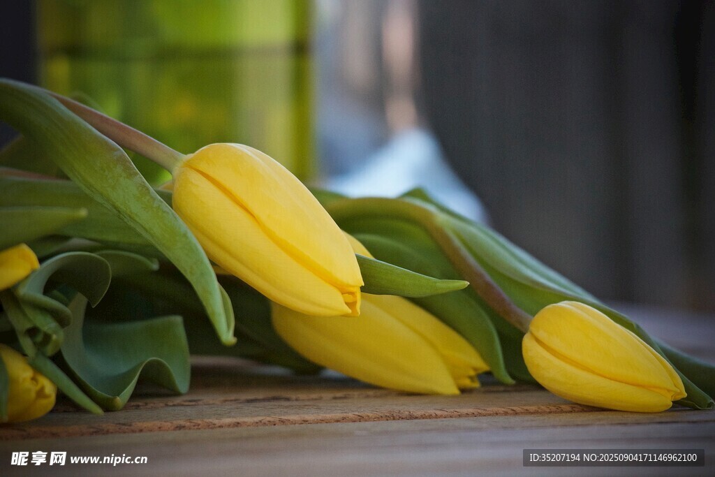 黄色郁金香摆放在木桌上