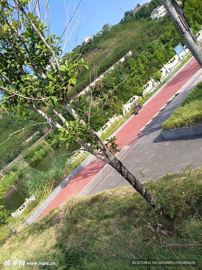 户外绿树环绕的彩色步道