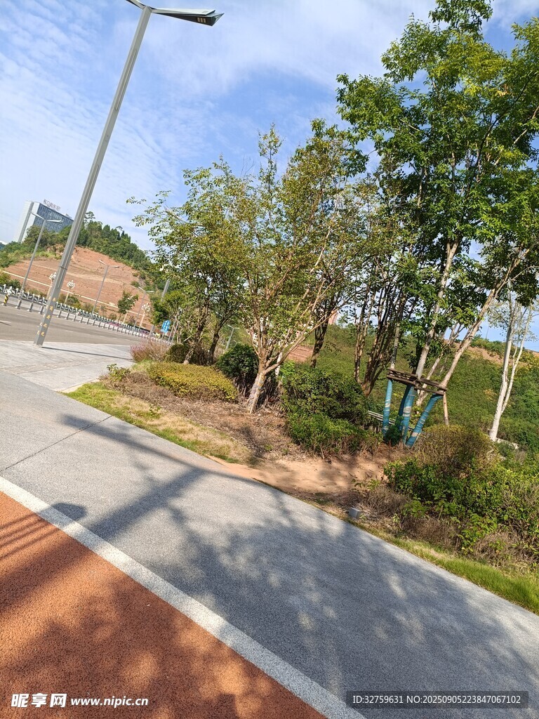 城市中的林荫步道景观