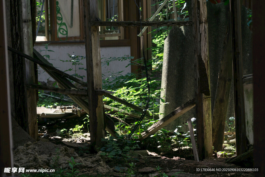 废弃木门被绿植缠绕