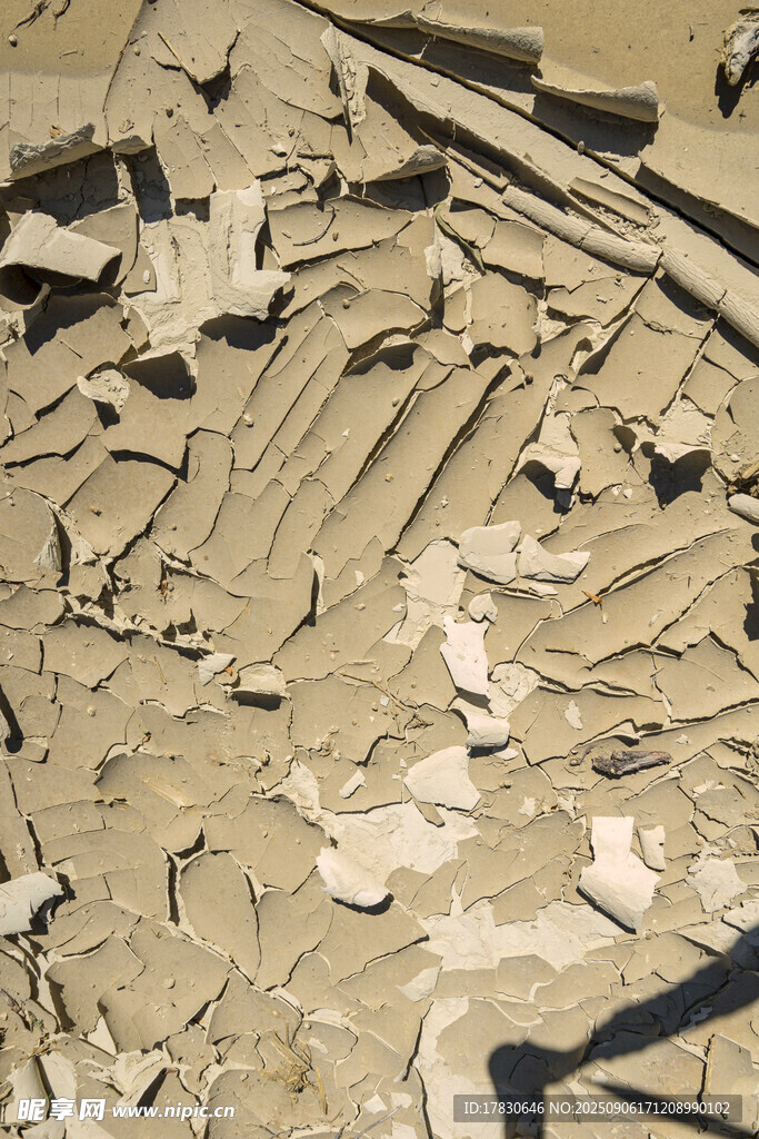 考古现场的古代遗迹残骸