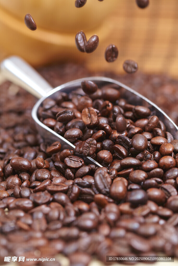 银勺舀取咖啡豆特写