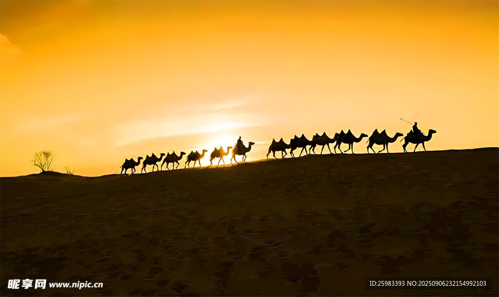 沙漠驼队