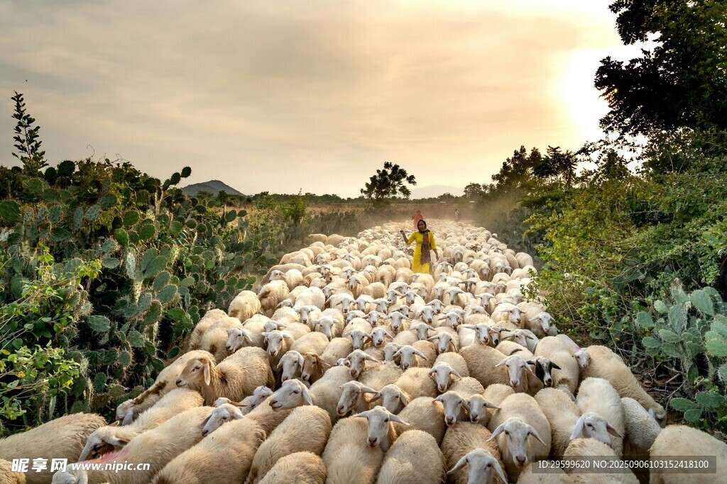 田间小路堆满丰收的成果