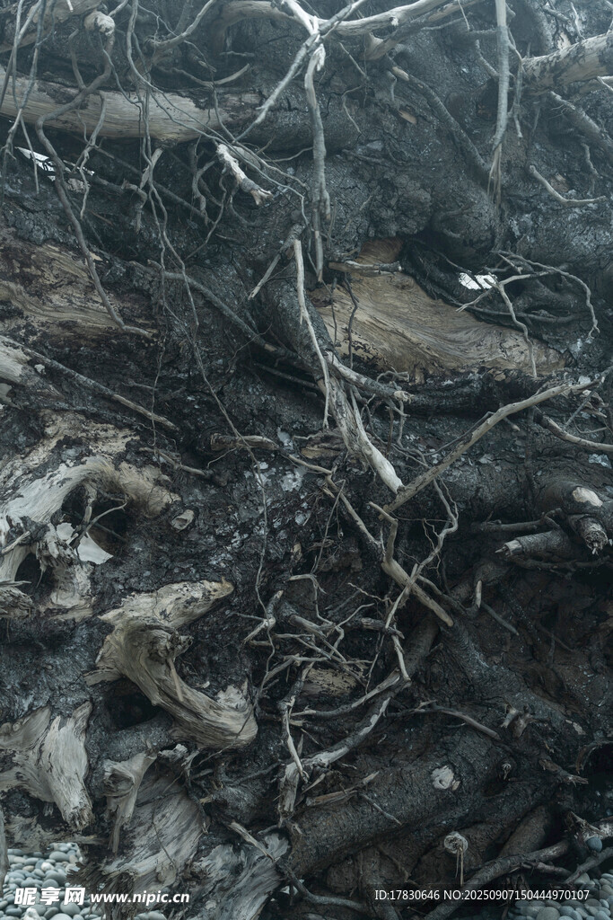 冰封下的杂乱水底景象