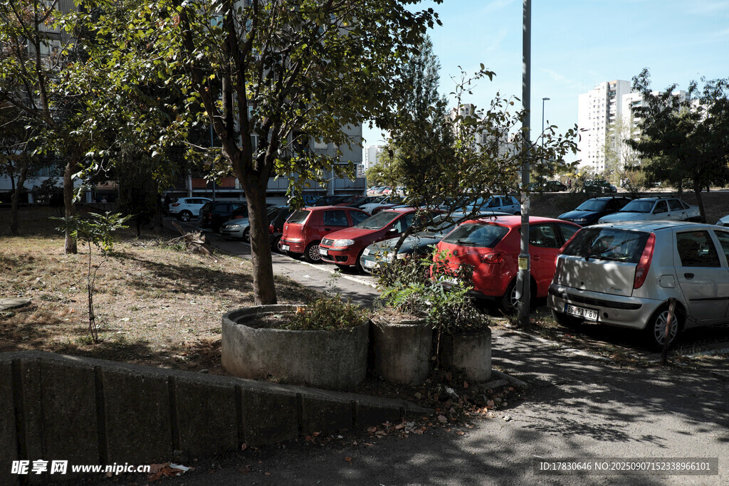 户外停车场停放多辆汽车